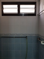 Blk 9 Holland Avenue (Queenstown), HDB 3 Rooms #173559622